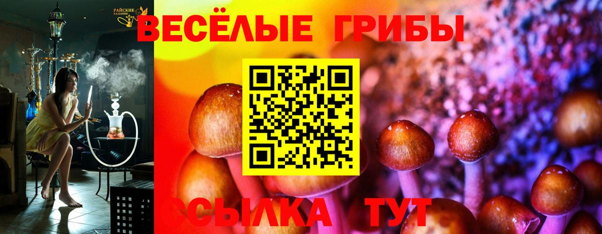 Псилоцибиновые грибы мухоморы  Галлюциногенные грибы Psilocybine cubensis  Похвистнево  Вход с VPN 